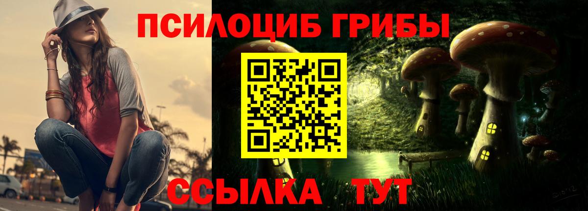 Галлюциногенные грибы ЛСД  Галлюциногенные грибы ЛСД  Вход с VPN  Новоалександровск 